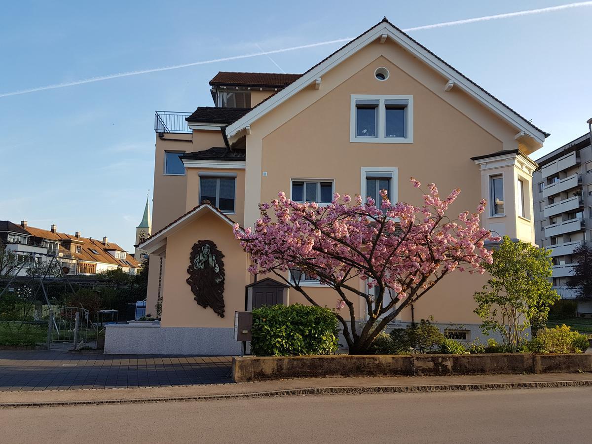 Niros Bed & Breakfast Birsfelden Buitenkant foto